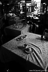_MG_0428