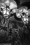 _MG_0528