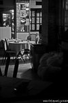 _MG_0548