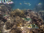 P1030200