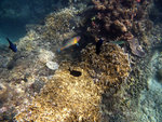 P1030268