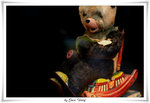 IMG_3326T