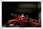 IMG_3343T