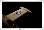 IMG_3356T