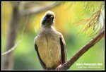 IMG_1601