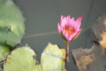 IMG_3878-1