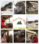 Cover2