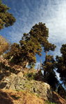 DCS_6326a