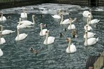 IMG_0126