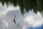 IMG_7559