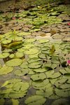 IMG_9682
