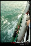 DSC_6097[1]