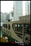 DSC_6139[1]