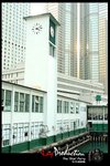DSC_6203[1]