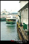 DSC_6223[1]