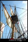 DSC_7552[1]