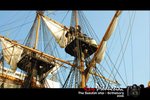 DSC_7791[1]