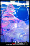 IMG_0019_2[1]