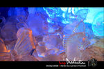IMG_0028_2[1]