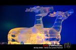 IMG_0029_2[1]