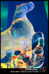 IMG_0043_2[1]