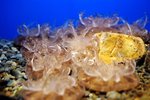 DSC_3058[1]