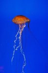 DSC_3072[1]