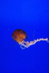 DSC_3074[1]