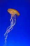 DSC_3075[1]