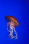 DSC_3076[1]