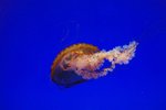 DSC_3077[1]