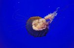 DSC_3078[1]