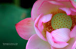 IMG_0360