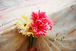 Test(origin)-6 copy
