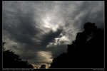 nEO_IMG_DSC_4177