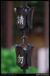 nEO_IMG_DSC_4202