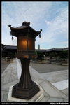 nEO_IMG_DSC_4282