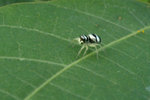 P9202908