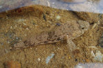 P9053361