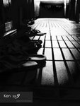 P7083137