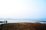 P8303345_2