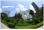 DPP_4665