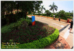 DPP_4493