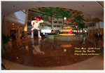 DPP_4502