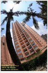 DPP_4509