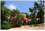 DPP_4534