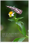 DPP_4289