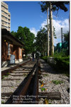 DPP_4355