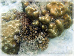 DSCF5814
