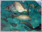 DSCF5879
